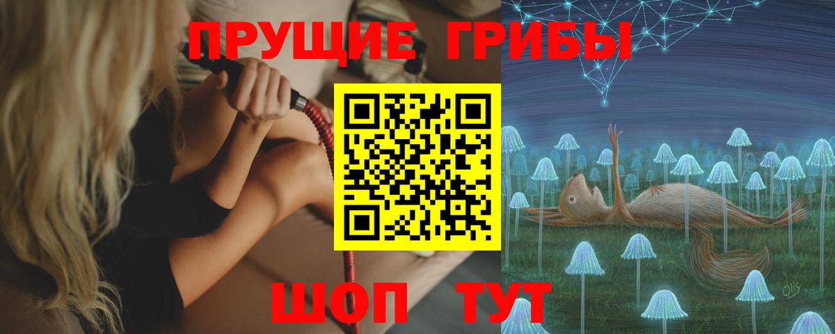как найти закладки  Вход с VPN  Избербаш  Псилоцибиновые грибы GOLDEN TEACHER 